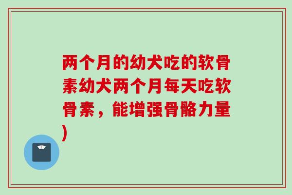 两个月的幼犬吃的软骨素幼犬两个月每天吃软骨素，能增强骨骼力量)