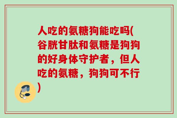 人吃的氨糖狗能吃吗(谷胱甘肽和氨糖是狗狗的好身体守护者，但人吃的氨糖，狗狗可不行)