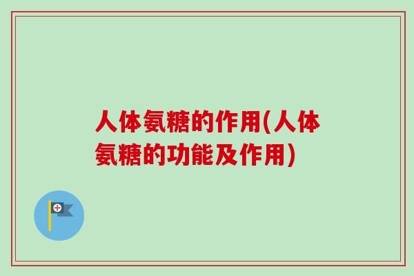 人体氨糖的作用(人体氨糖的功能及作用)