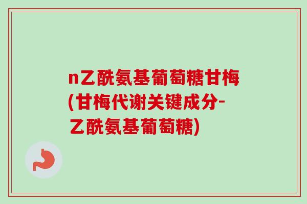 n乙酰氨基葡萄糖甘梅(甘梅代谢关键成分-乙酰氨基葡萄糖)