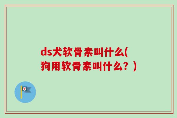 ds犬软骨素叫什么(狗用软骨素叫什么？)