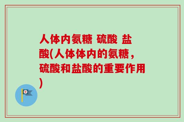 人体内氨糖 硫酸 盐酸(人体体内的氨糖，硫酸和盐酸的重要作用)