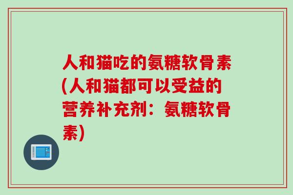 人和猫吃的氨糖软骨素(人和猫都可以受益的营养补充剂：氨糖软骨素)