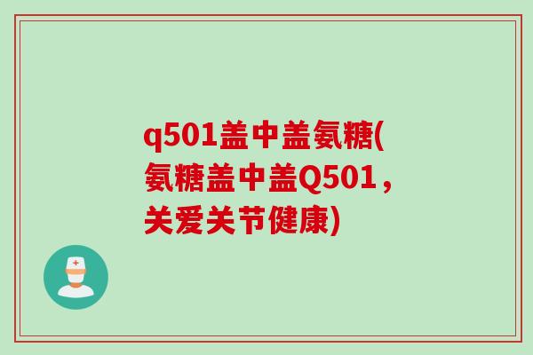 q501盖中盖氨糖(氨糖盖中盖Q501，关爱关节健康)