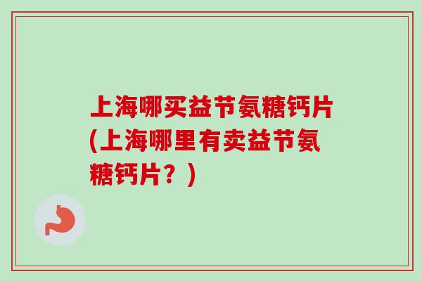 上海哪买益节氨糖钙片(上海哪里有卖益节氨糖钙片？)