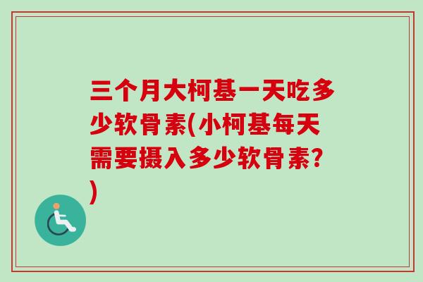 三个月大柯基一天吃多少软骨素(小柯基每天需要摄入多少软骨素？)