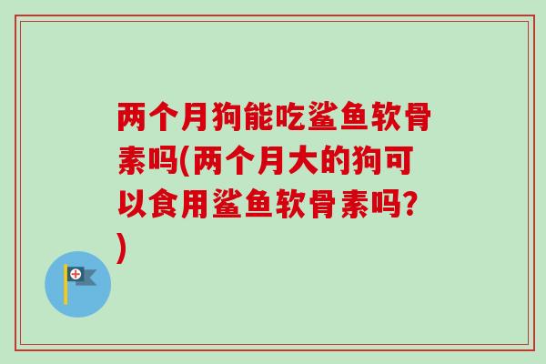 两个月狗能吃鲨鱼软骨素吗(两个月大的狗可以食用鲨鱼软骨素吗?) 两个月狗能吃鲨鱼软骨素吗(两个月大的狗可以食用鲨鱼软骨素吗?)
