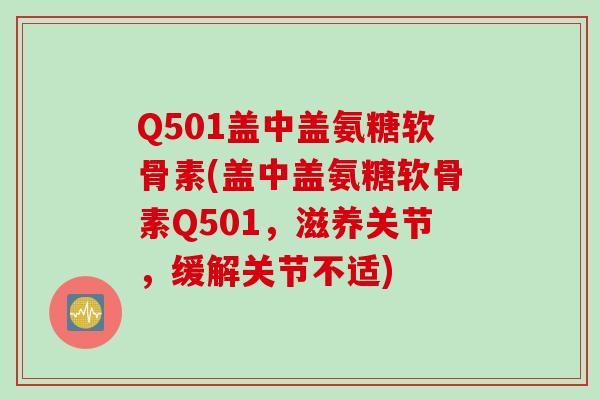 Q501盖中盖氨糖软骨素(盖中盖氨糖软骨素Q501，滋养关节，缓解关节不适)