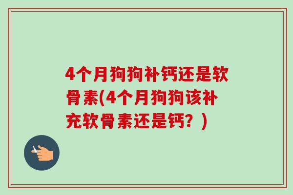 4个月狗狗补钙还是软骨素(4个月狗狗该补充软骨素还是钙？)