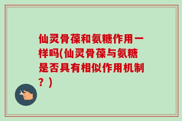 仙灵骨葆和氨糖作用一样吗(仙灵骨葆与氨糖是否具有相似作用机制？)