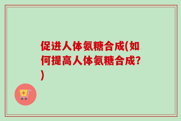 促进人体氨糖合成(如何提高人体氨糖合成？)