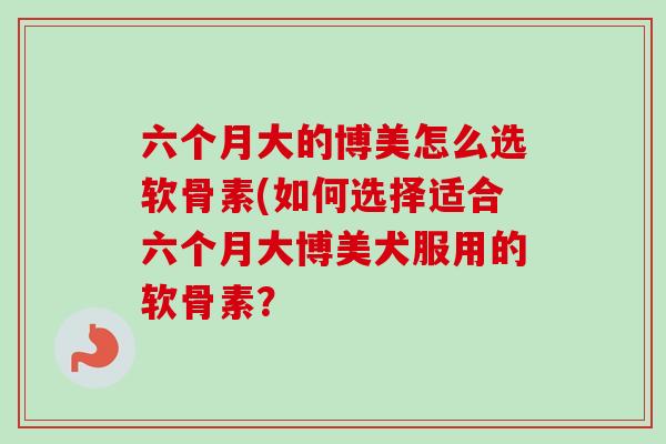 六个月大的博美怎么选软骨素(如何选择适合六个月大博美犬服用的软骨素？