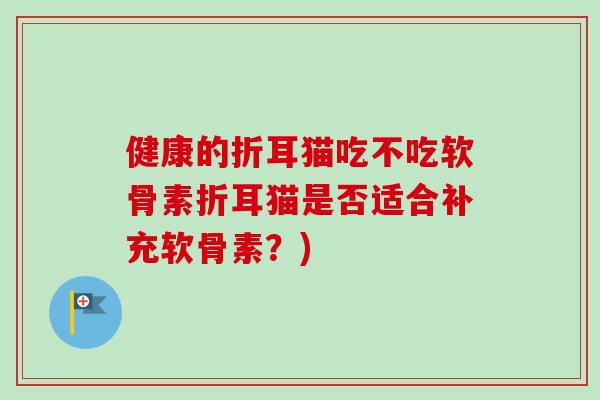 健康的折耳猫吃不吃软骨素折耳猫是否适合补充软骨素？)