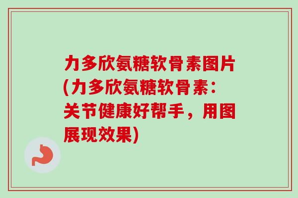 力多欣氨糖软骨素图片(力多欣氨糖软骨素：关节健康好帮手，用图展现效果)