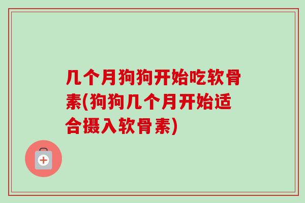 几个月狗狗开始吃软骨素(狗狗几个月开始适合摄入软骨素)