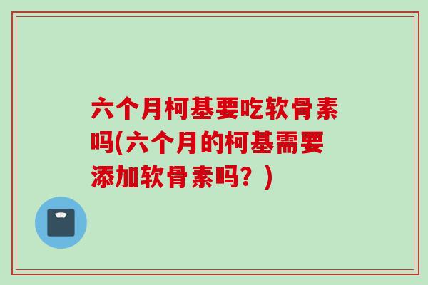 六个月柯基要吃软骨素吗(六个月的柯基需要添加软骨素吗？)