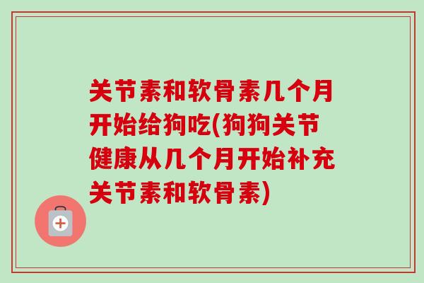 关节素和软骨素几个月开始给狗吃(狗狗关节健康从几个月开始补充关节素和软骨素)