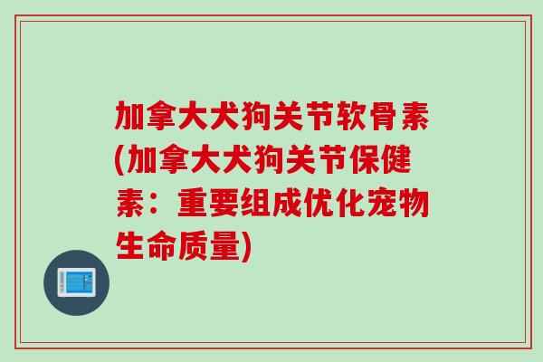 加拿大犬狗关节软骨素(加拿大犬狗关节保健素：重要组成优化宠物生命质量)