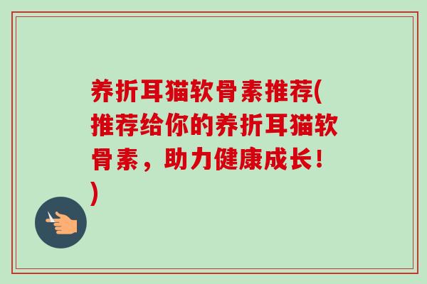 养折耳猫软骨素推荐(推荐给你的养折耳猫软骨素，助力健康成长！)