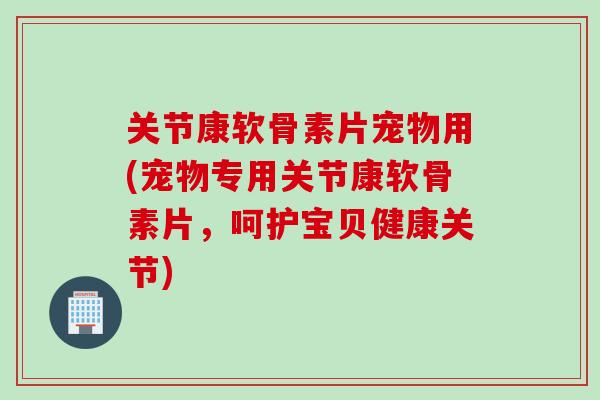 关节康软骨素片宠物用(宠物专用关节康软骨素片，呵护宝贝健康关节)