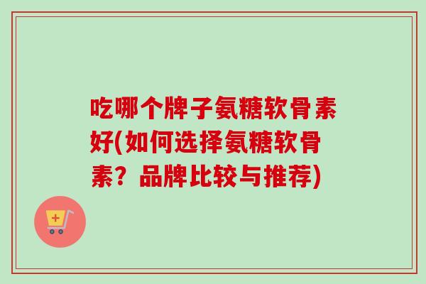 吃哪个牌子氨糖软骨素好(如何选择氨糖软骨素？品牌比较与推荐)