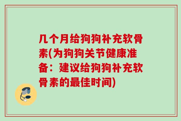 几个月给狗狗补充软骨素(为狗狗关节健康准备：建议给狗狗补充软骨素的最佳时间)