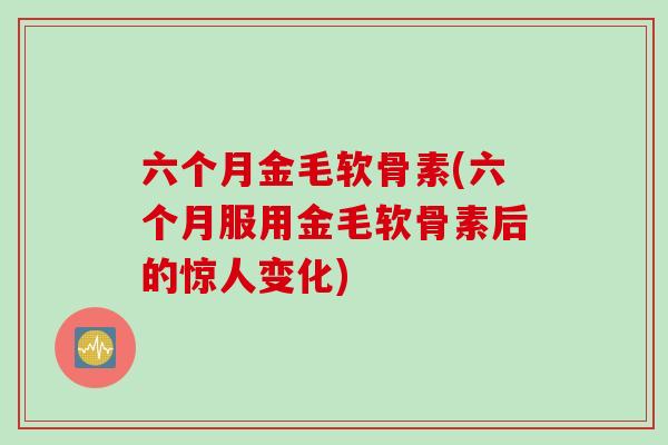 六个月金毛软骨素(六个月服用金毛软骨素后的惊人变化)