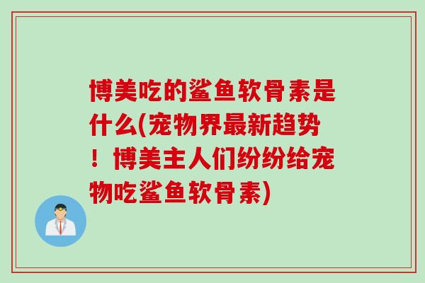 博美吃的鲨鱼软骨素是什么(宠物界最新趋势！博美主人们纷纷给宠物吃鲨鱼软骨素)