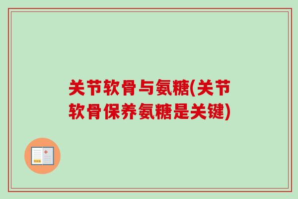 关节软骨与氨糖(关节软骨保养氨糖是关键)