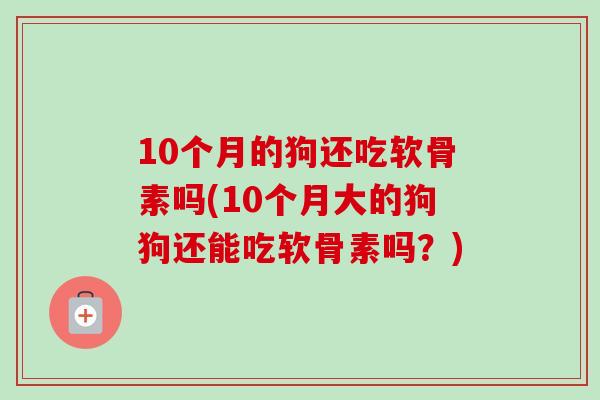 10个月的狗还吃软骨素吗(10个月大的狗狗还能吃软骨素吗？)