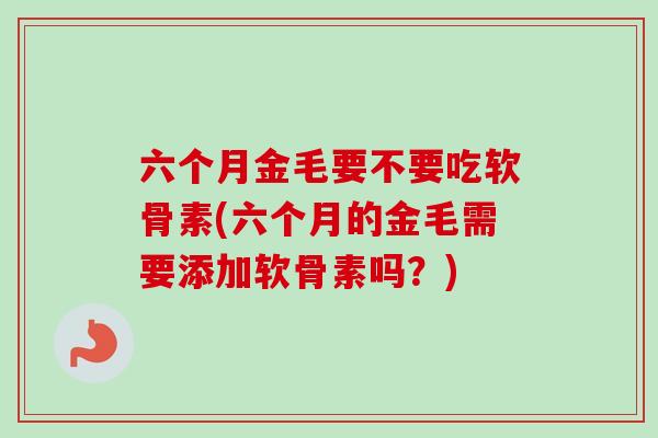 六个月金毛要不要吃软骨素(六个月的金毛需要添加软骨素吗？)