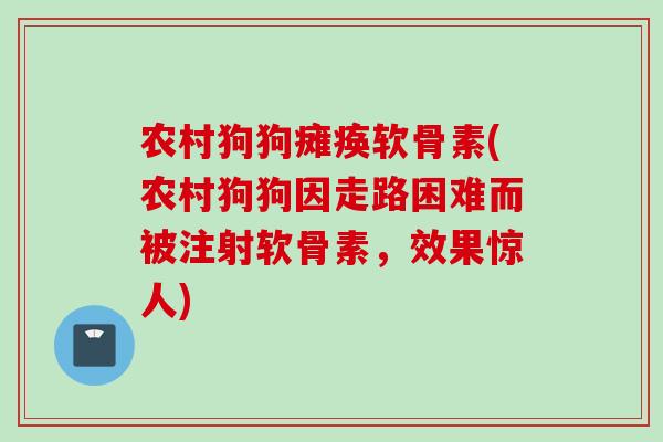 农村狗狗瘫痪软骨素(农村狗狗因走路困难而被注射软骨素，效果惊人)
