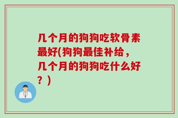 几个月的狗狗吃软骨素最好(狗狗最佳补给，几个月的狗狗吃什么好？)