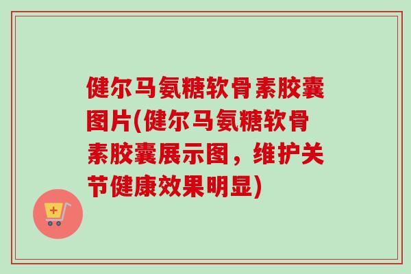 健尔马氨糖软骨素胶囊图片(健尔马氨糖软骨素胶囊展示图，维护关节健康效果明显)