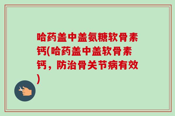 哈药盖中盖氨糖软骨素钙(哈药盖中盖软骨素钙，防治骨关节病有效)