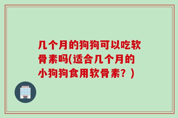 几个月的狗狗可以吃软骨素吗(适合几个月的小狗狗食用软骨素？)
