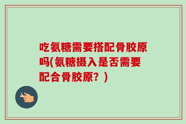 吃氨糖需要搭配骨胶原吗(氨糖摄入是否需要配合骨胶原？)