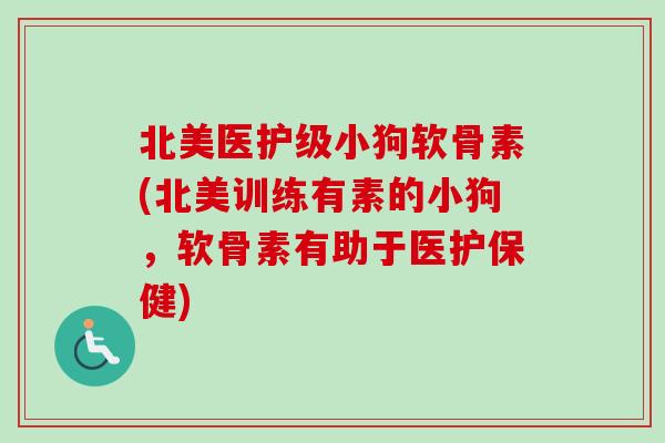 北美医护级小狗软骨素(北美训练有素的小狗，软骨素有助于医护保健)