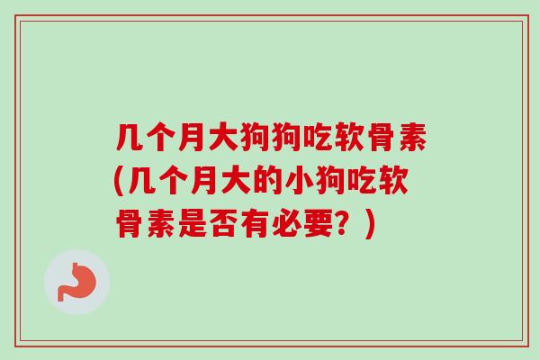 几个月大狗狗吃软骨素(几个月大的小狗吃软骨素是否有必要？)