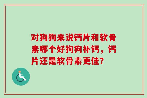 对狗狗来说钙片和软骨素哪个好狗狗补钙，钙片还是软骨素更佳？