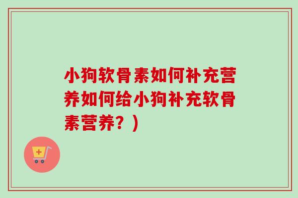 小狗软骨素如何补充营养如何给小狗补充软骨素营养？)