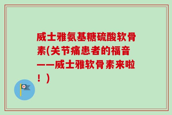 威士雅氨基糖硫酸软骨素(关节痛患者的福音——威士雅软骨素来啦！)