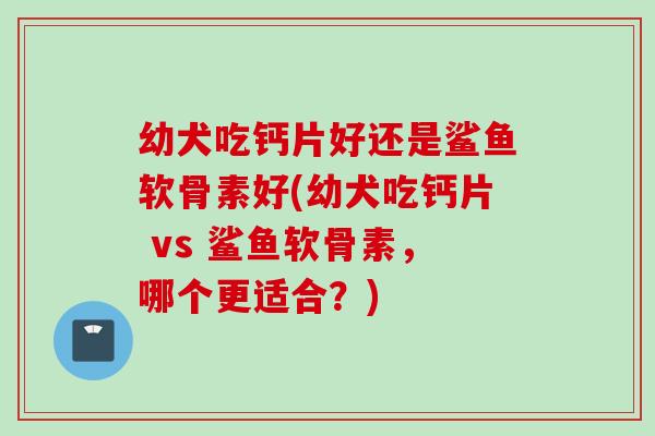 幼犬吃钙片好还是鲨鱼软骨素好(幼犬吃钙片 vs 鲨鱼软骨素，哪个更适合？)