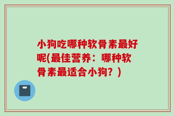 小狗吃哪种软骨素好呢(佳营养：哪种软骨素适合小狗？)