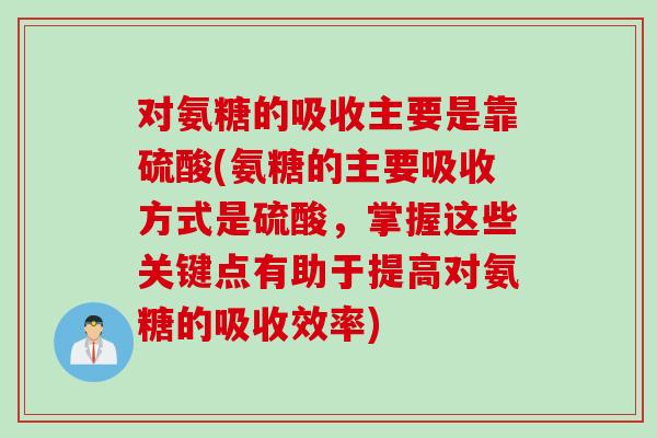 对氨糖的吸收主要是靠硫酸(氨糖的主要吸收方式是硫酸，掌握这些关键点有助于提高对氨糖的吸收效率)