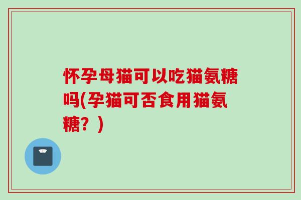怀孕母猫可以吃猫氨糖吗(孕猫可否食用猫氨糖？)