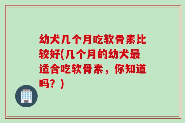 幼犬几个月吃软骨素比较好(几个月的幼犬适合吃软骨素,你知道吗?) 幼犬几个月吃软骨素比较好(几个月的幼犬适合吃软骨素,你知道吗?)