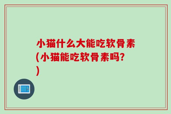 小猫什么大能吃软骨素(小猫能吃软骨素吗？)