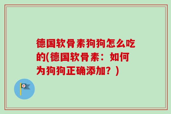 德国软骨素狗狗怎么吃的(德国软骨素：如何为狗狗正确添加？)