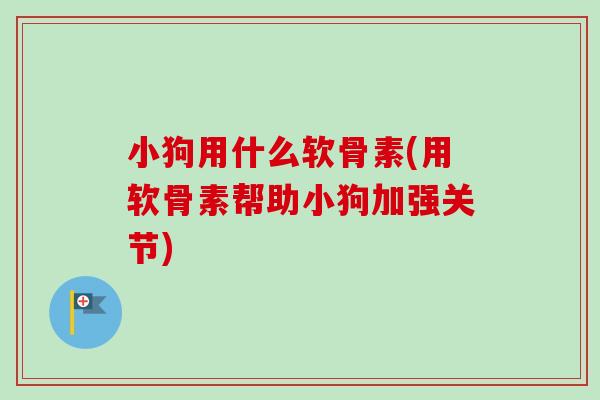 小狗用什么软骨素(用软骨素帮助小狗加强关节)